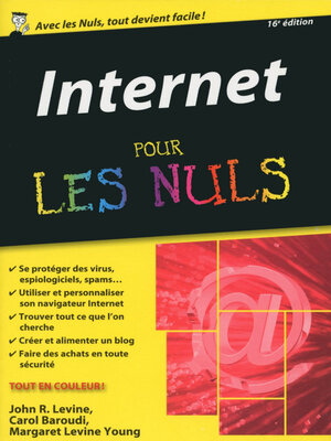 cover image of Internet poche pour les Nuls, 16e édition